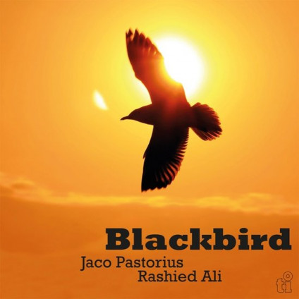 Blackbird - Pastorius Jaco & Ali Rashied - LP