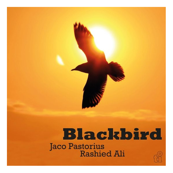 Blackbird - Pastorius Jaco & Ali Rashied - LP