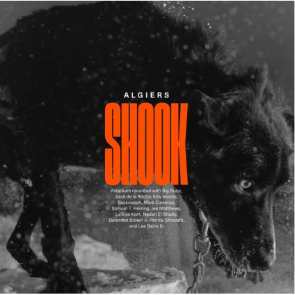 Shook (Vinyl Gold) (Indie Exclusive) - Algiers - LP