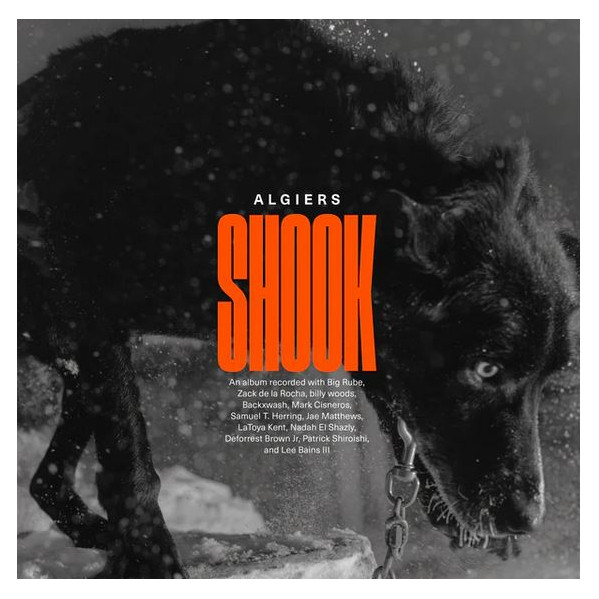 Shook (Vinyl Gold) (Indie Exclusive) - Algiers - LP