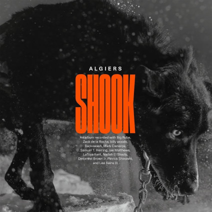 Shook - Algiers - CD