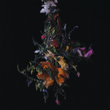 Nature Morte (Vinyl Lavender) - Big Brave - LP