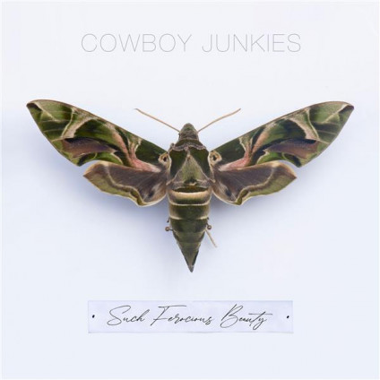 Such Ferocious Beauty (Vinyl Translucent Limited Edt.) - Cowboy Junkies - LP