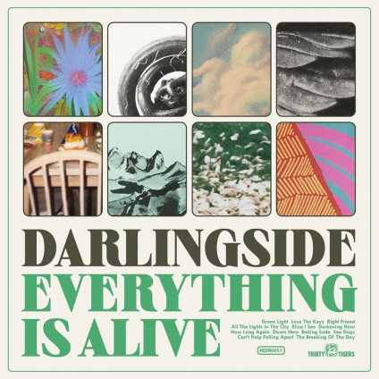 Everything Is Alive - Darlingside - LP