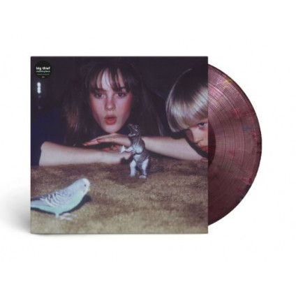 Masterpiece (Vinyl Eco Colour) - Big Thief - LP