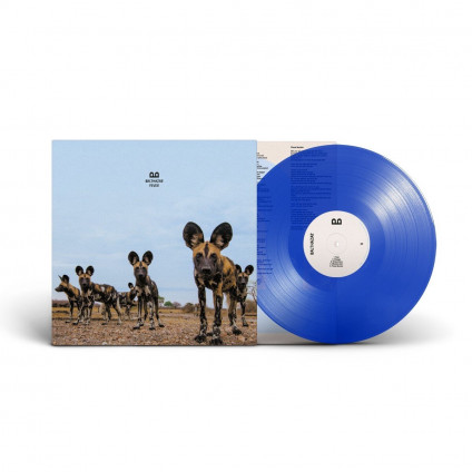 Fever (Vinyl Clear Blue) - Balthazar - LP