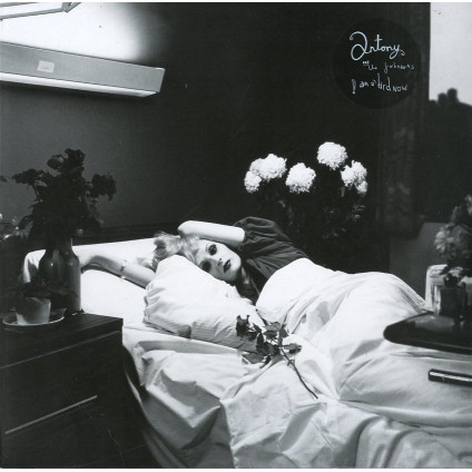 I Am A Bird Now - Antony & The Johnsons - LP