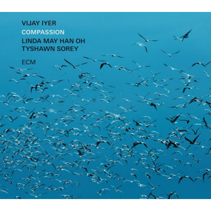 Compassion - Iyer Vijay - LP