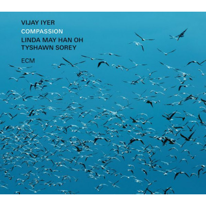 Compassion - Iyer Vijay - LP