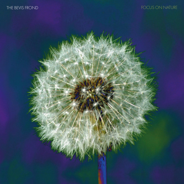 Focus On Nature (Double Vinyl Purple) - Bevis Frond - LP