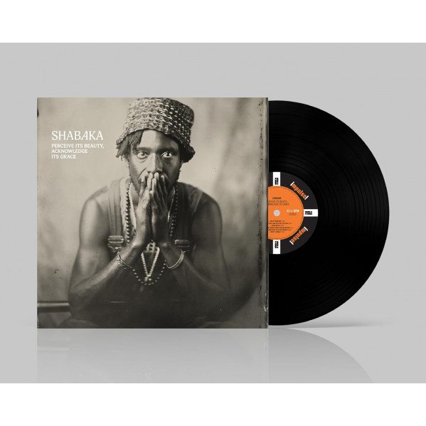 Perceive Its Beauty - Shabaka - LP