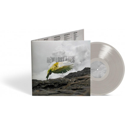 New Lost Ages (Vinyl Natural Warm Grey) - Ramsey Tyler - LP
