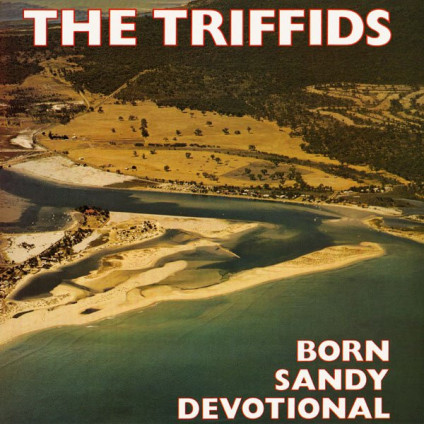 Born Sandy Devotional - Triffids The - LP