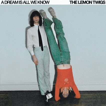 A Dream Is All We Know - Lemon Twigs - CD
