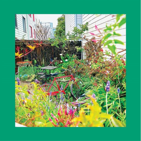 Unwishing Well - Reds Pinks And Purples The - CD