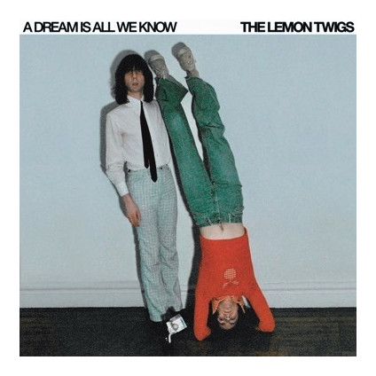 A Dream Is All We Know (Vinyl Ice Cream) - Lemon Twigs - LP