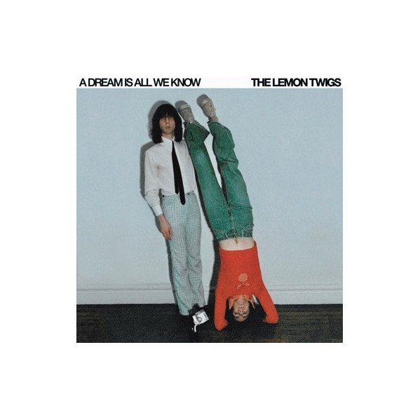 A Dream Is All We Know (Vinyl Ice Cream) - Lemon Twigs - LP