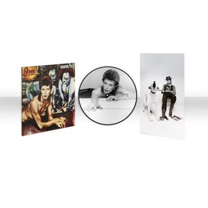 Diamond Dogs (Picture Disc) - Bowie David - LP