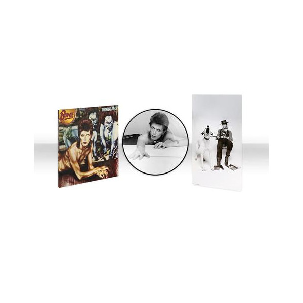 Diamond Dogs (Picture Disc) - Bowie David - LP