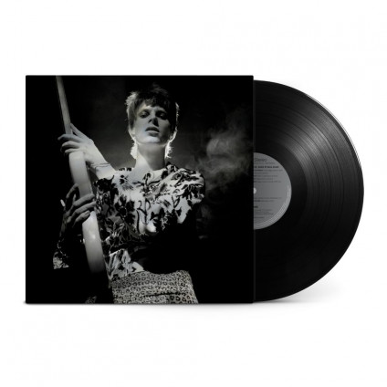 Rock N Roll Star! - Bowie David - LP