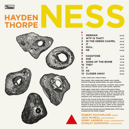 Ness - Hayden Thorpe - LP