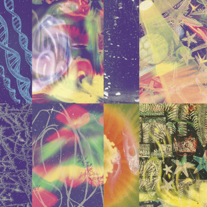 Neon Gate - Nap Eyes - CD