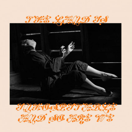 Land Is Inhospitable And So Are We - Mitski - LP
