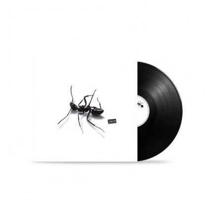 Indi (Vinile Nero) - Gazzelle - LP
