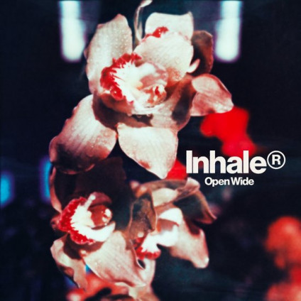 Open Wide - Inhaler - LP