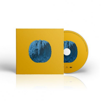 L'Albero Delle Noci - Brunori Sas - CD