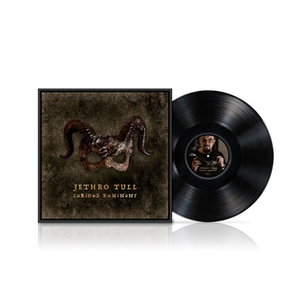 Curious Ruminant - Jethro Tull - LP