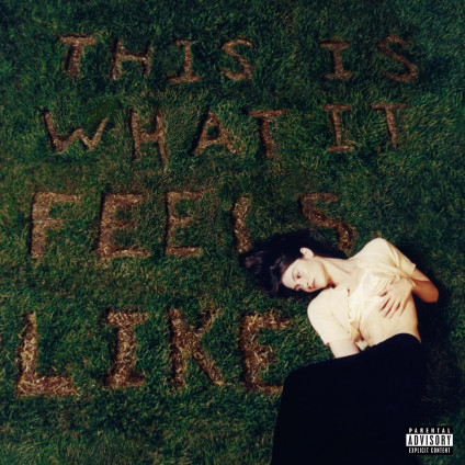 This Is What It Feels Like - Abrams Gracie - LP
