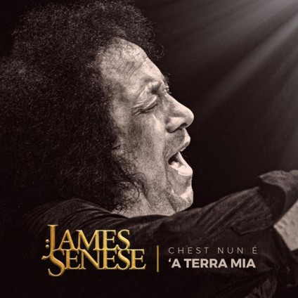 Chest Nun Ã 'A Terra Mia - Senese James - LP