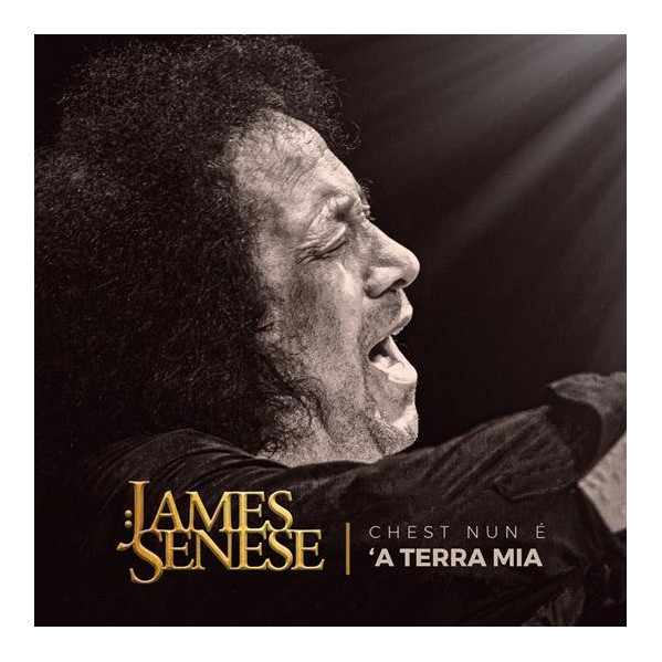 Chest Nun Ã 'A Terra Mia - Senese James - LP