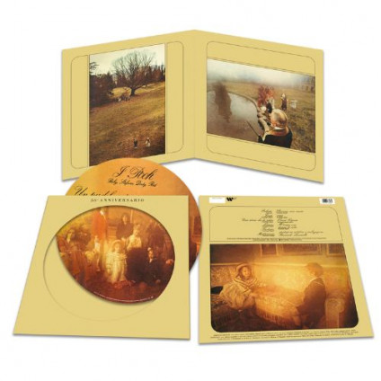 Un Po' Del Nostro Tempo Migliore (50 Ann.) Lp Picture Disc Limitata Numerata - Pooh - LP