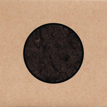 Birthing (+ Bonus Dvd Limited Edt.) - Swans - CD