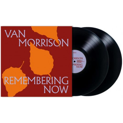 Remembering Now - Morrison Van - LP