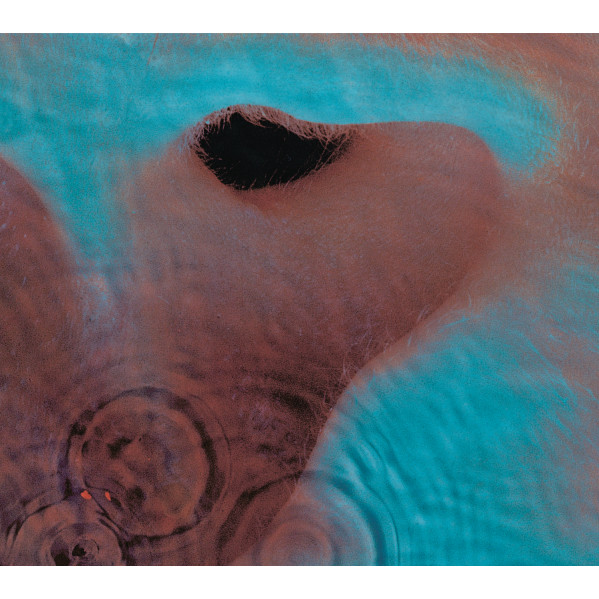 Meddle - Pink Floyd - LP