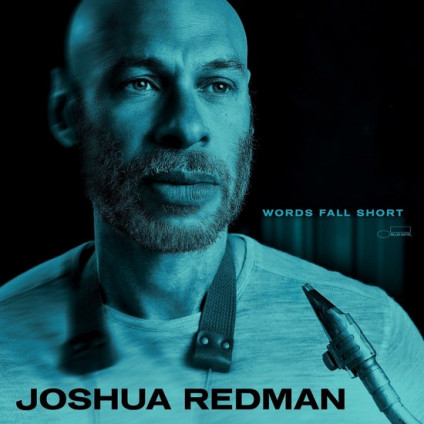 Words Fall Short - Redman Joshua - LP