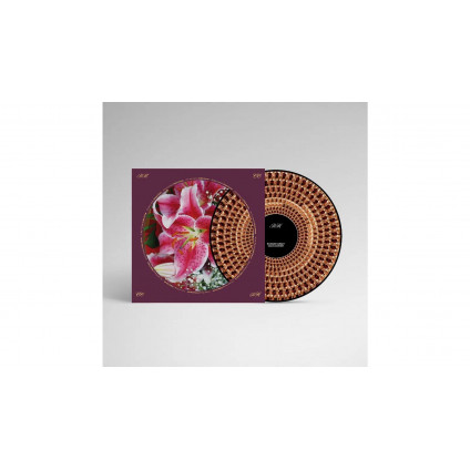 Coles Corner (20Th Anniversary Ltd Edt Zoetrope) - Hawley Richard - LP