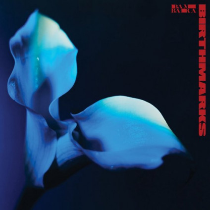 Birthmarks (Vinyl Red + Poster) - Bambara - LP