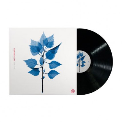 Get Sunk - Berninger Matt - LP