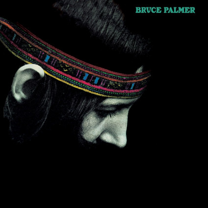Cycle Is Complete - Palmer Bruce - LP