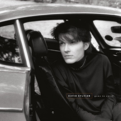 Gone To Earth (Vinyl White Brown Opaque Black) (2003 Remastered) - Sylvian David - LP