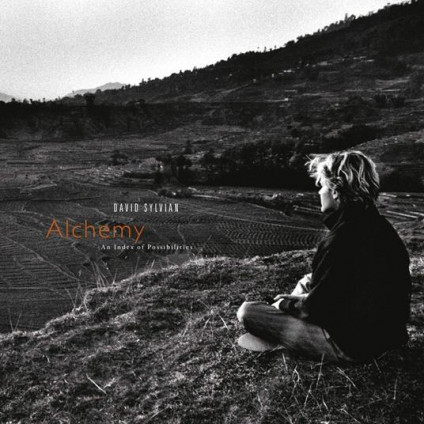 Alchemy: An Index Of Possibilities (Vinyl Gold Opaque Red) - Sylvian David & Hassell Jon - LP