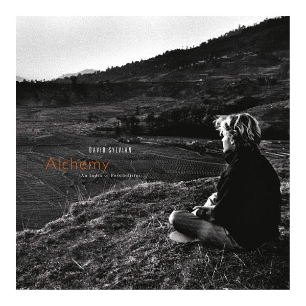 Alchemy: An Index Of Possibilities (Vinyl Gold Opaque Red) - Sylvian David & Hassell Jon - LP