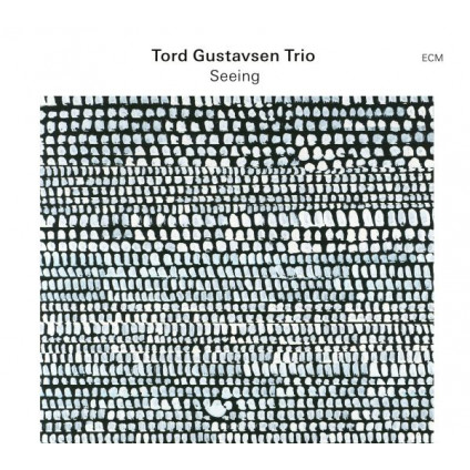 Seeing - Gustavsen Tord Trio - CD