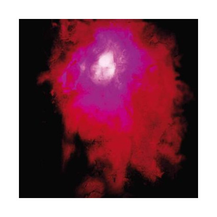 Up The Downstair - Porcupine Tree - LP