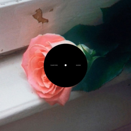Blooom - Planet Funk - LP