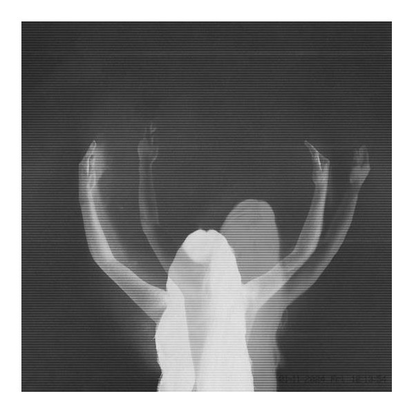 Radiance Opposition (Vinyl Clear Transparent) - Julie'S Haircut - LP